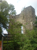 Burg Falkenstein